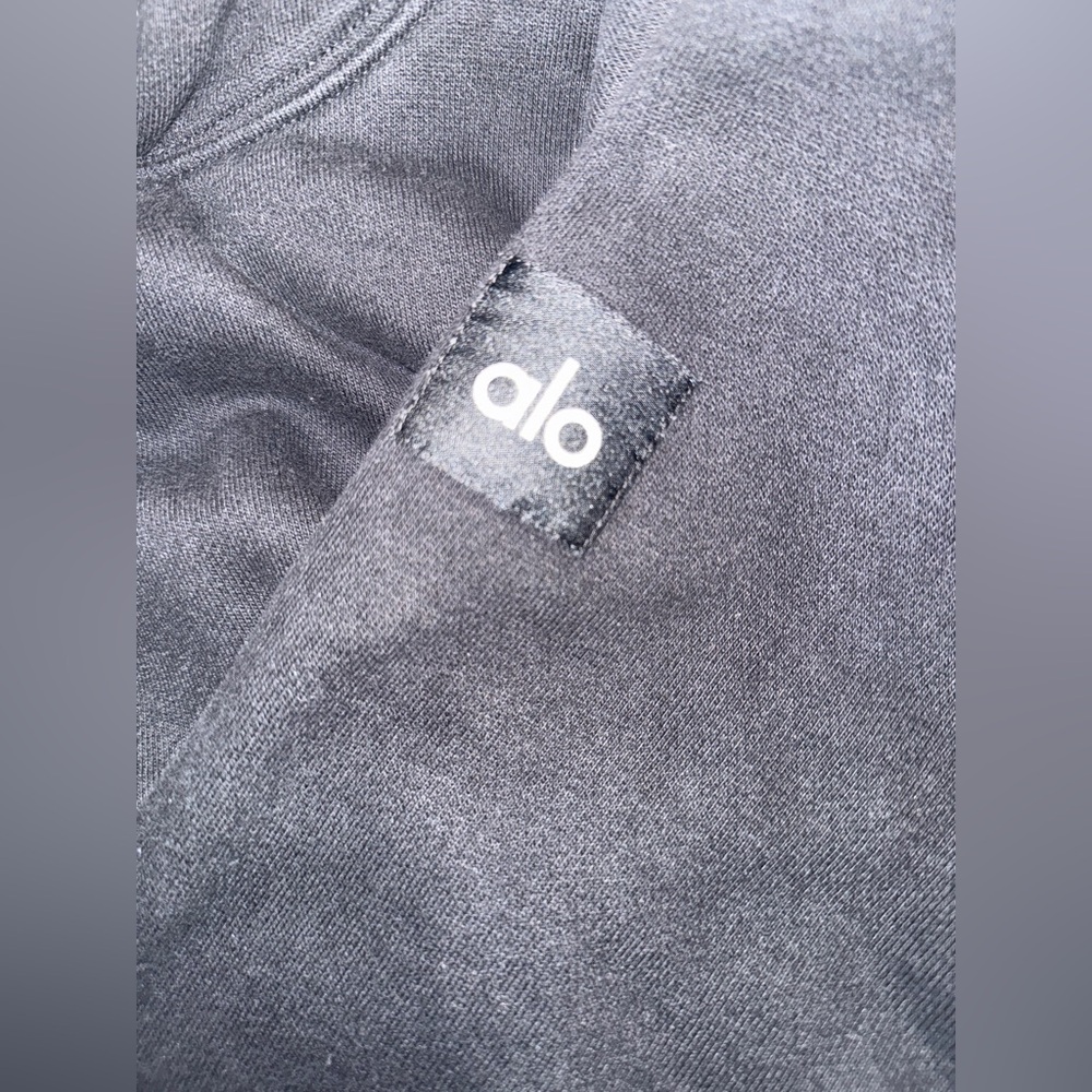255.  Alo Renown Heavy Weight Hoodie - Picture 13 of 14